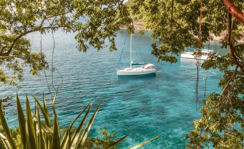 anses d'arlet martinique tortues