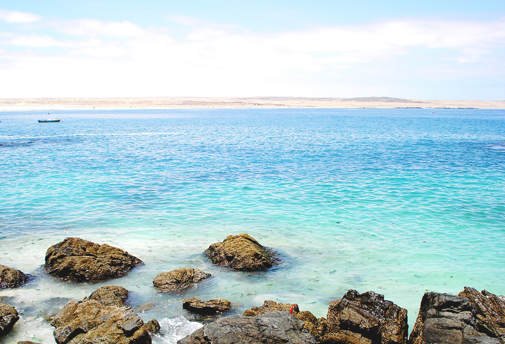 Arica2215081563_d0c7b608b7_o