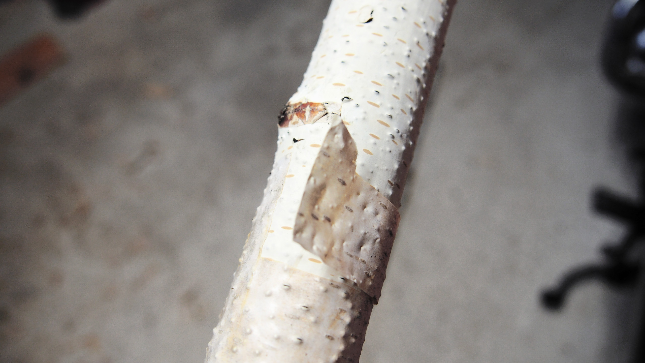 diy échelle bouleau