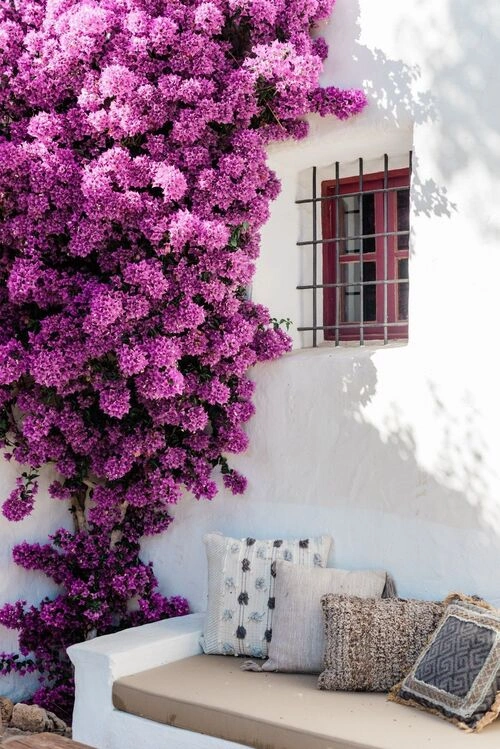 jardin terrasse ibiza minorque baleares
