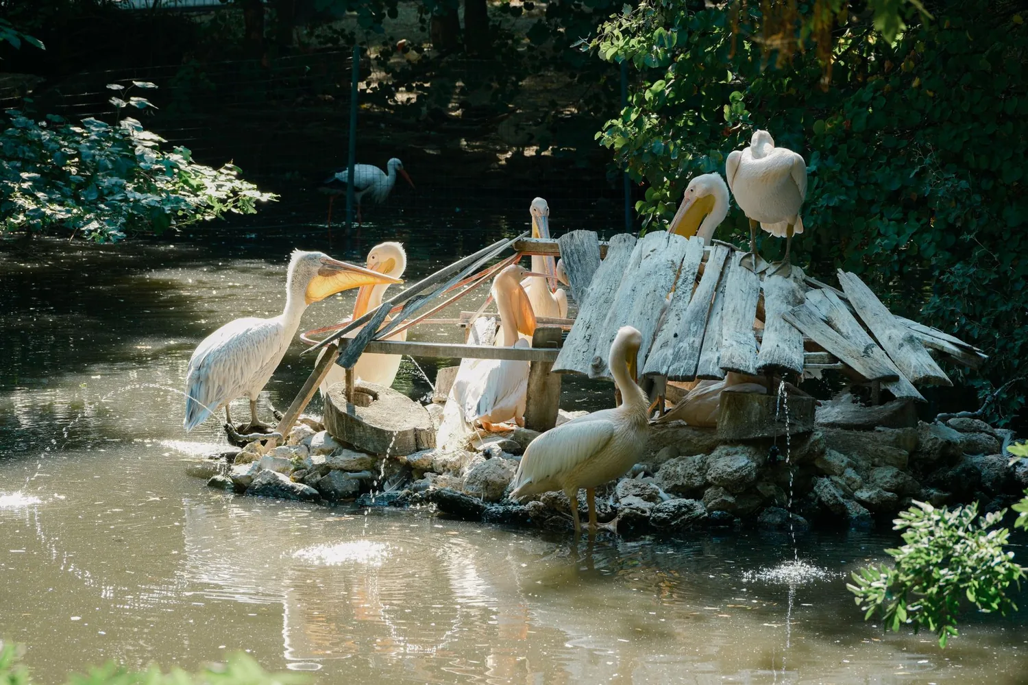 Le Jardin de la Mer à Varna