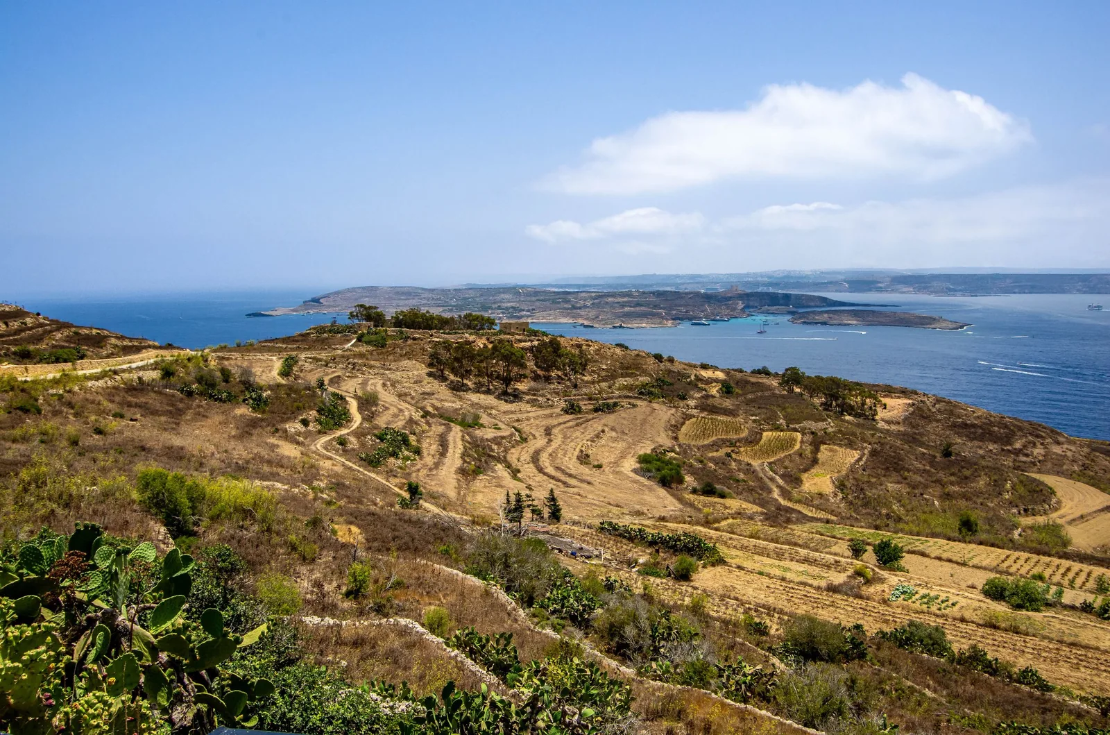 La campagne rurale de Gozo, en bord de mer