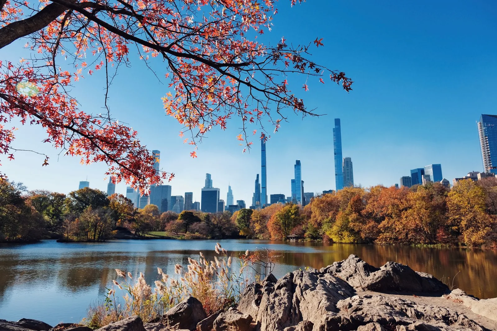 Central Park en automne