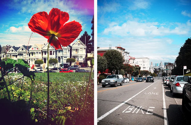 Coquelicot rouge devant les Painted Ladies et rue en pente avec piste cyclable à San Francisco