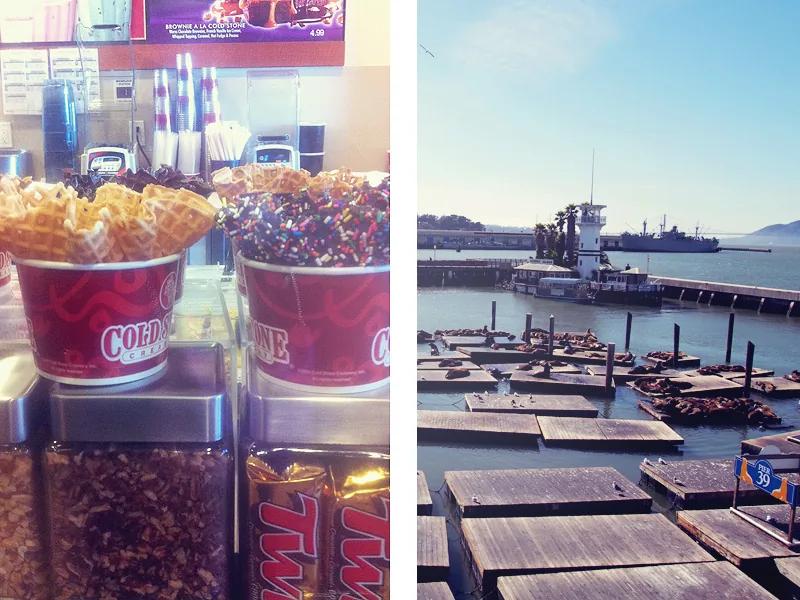 Glaces Cold Stone et lions de mer sur les pontons de Pier 39