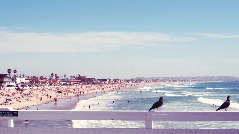 Mouettes sur la jetée de Crystal Pier et plage animée de Pacific Beach à San Diego