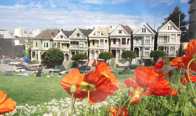 Painted Ladies d'Alamo Square derrière des coquelicots de Californie orange