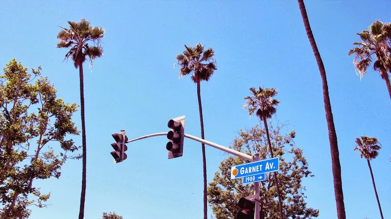 Palmiers et feu tricolore sur Garnet Avenue à San Diego