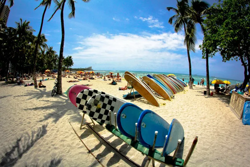 Planches de surf alignées sur le sable de Waikiki Beach sous les palmiers à Oahu