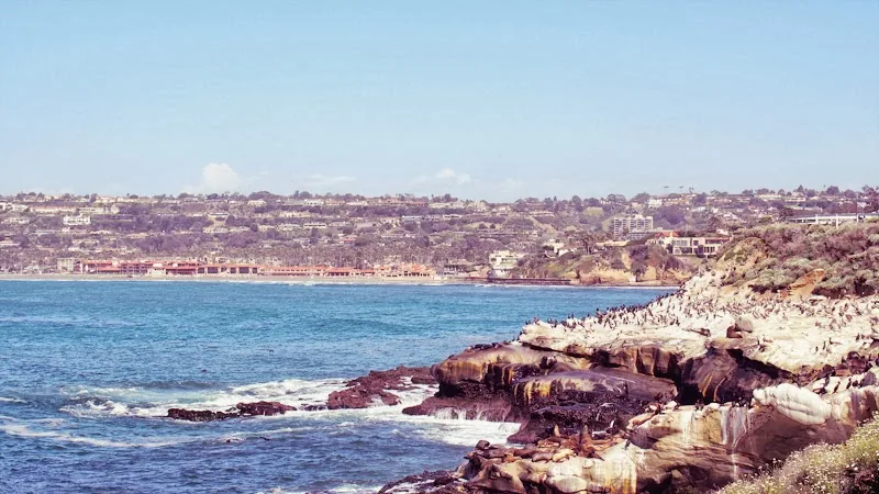 Rochers et eau bleue de La Jolla Cove avec la côte en arrière-plan